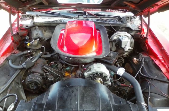 all original 1975 pontiac firebird trans am