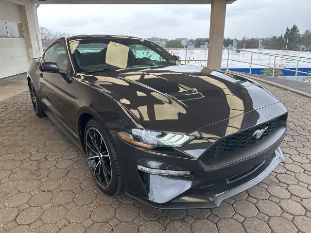 2022 ford mustang ecoboost