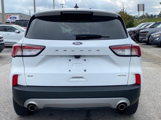 2022 ford escape se