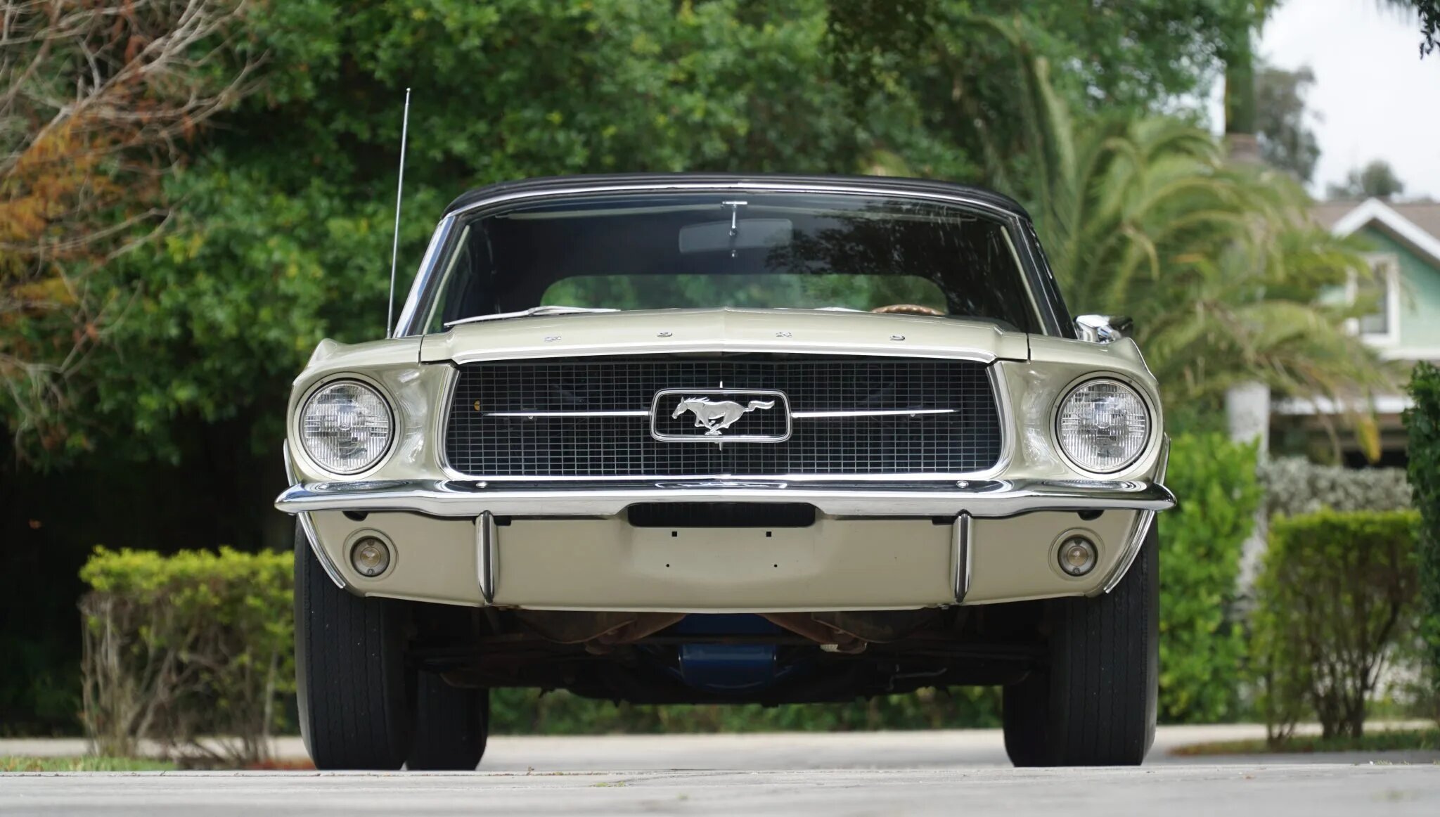 ford mustang