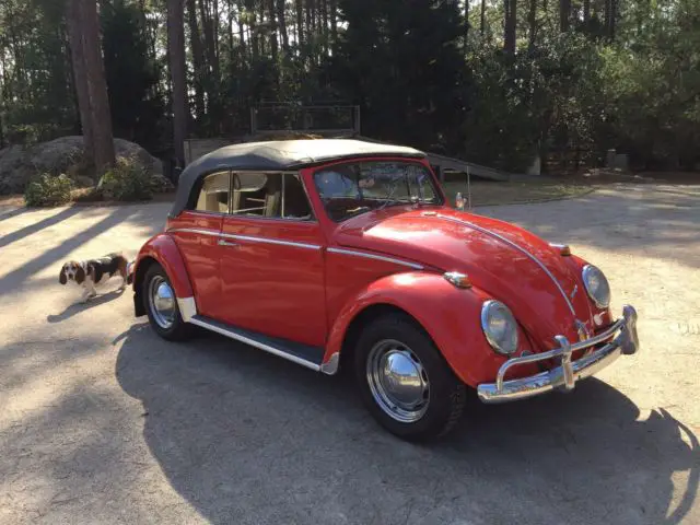 1963 volkswagen beetle convertible - beautiful car