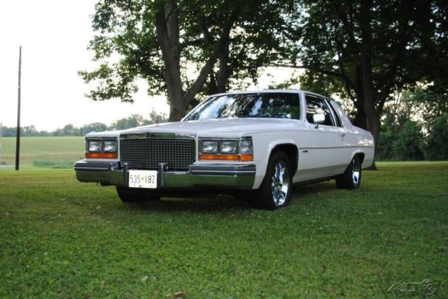 1981 used 6l v8 16v automatic rwd