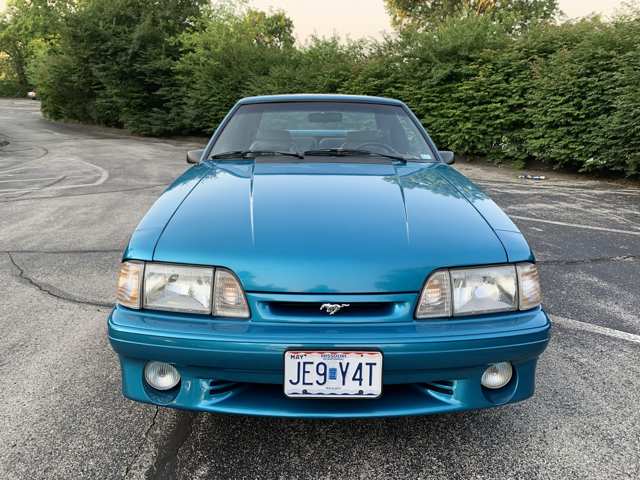 1993 ford mustang svt cobra