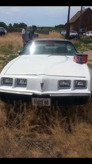 1980 pontiac trans am indy pace car