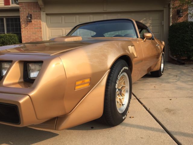 1981 pontiac firebird trans am gorgeous! numbers match! super clean! must see!