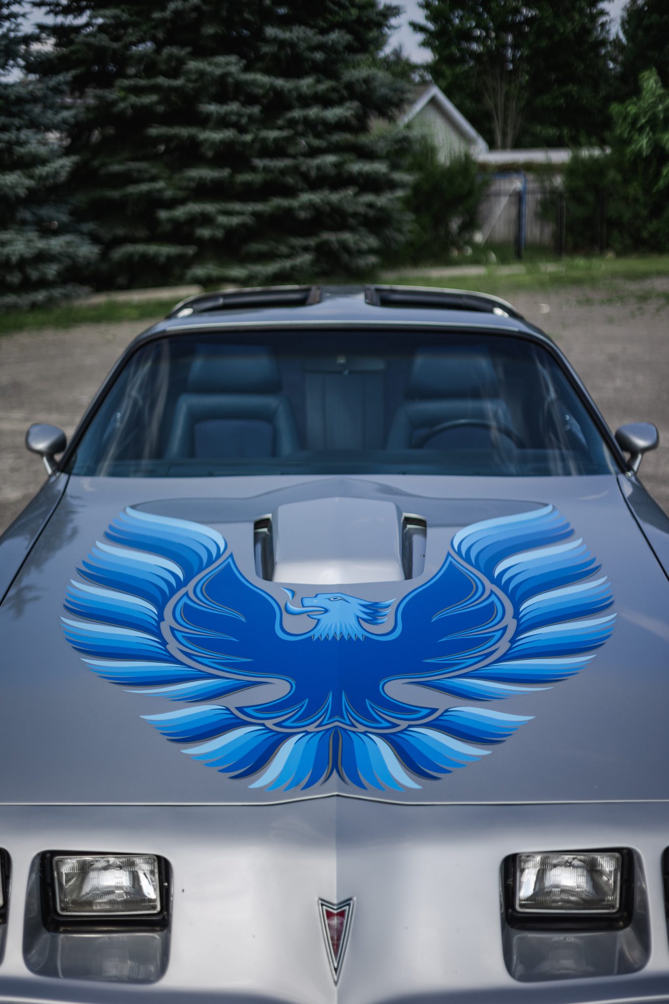 1980 pontiac firebird trans am