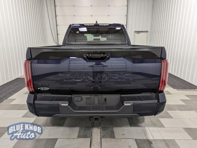 2023 toyota tundra platinum