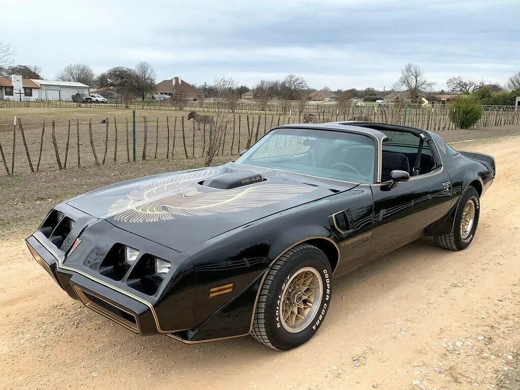 1981 pontiac trans am se y84, ws6, bandit, no reserve