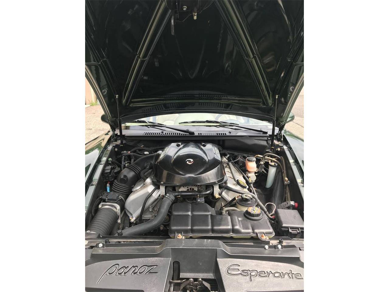 2001 panoz esperante