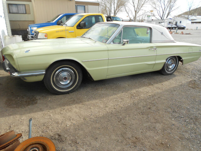 66 t bird