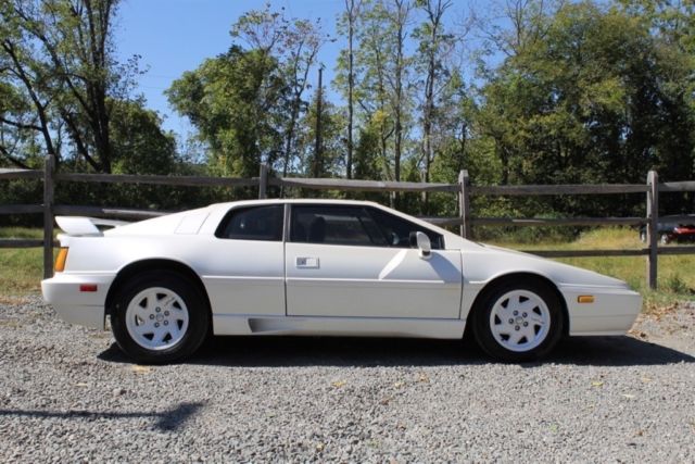 1988 lotus esprit turbo commemorative edition 1 of 88 built