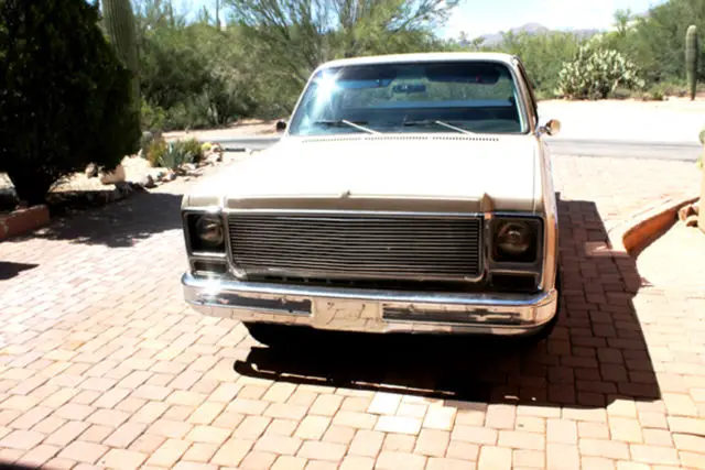 chevy pickup - 1979 c10 freshened up professionally