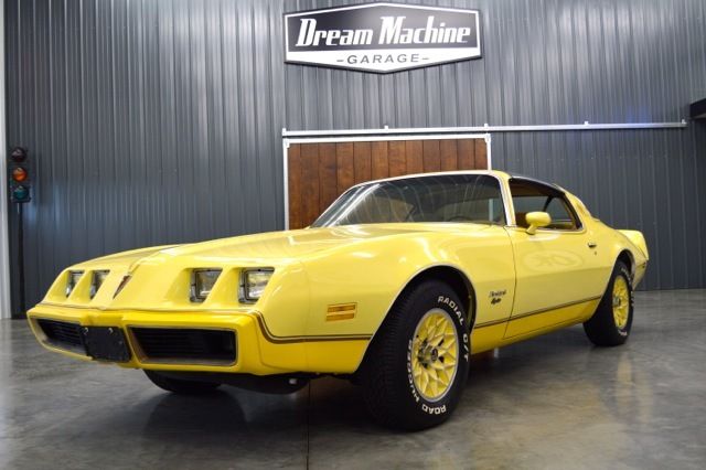 pontiac firebird yellowbird. 1 year color!