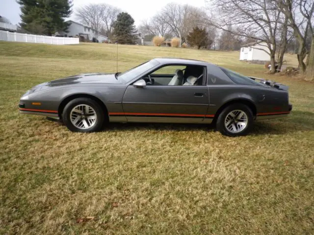 1988 pontaic firebird survivor