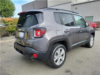 2019 Jeep Renegade limited