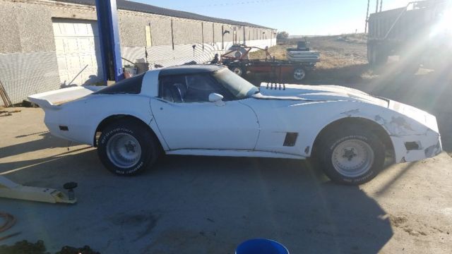 1980 corvette special edition hotrod