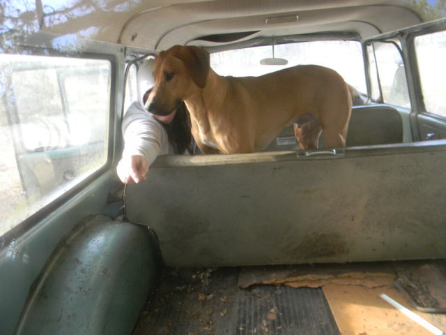 1967 international travelall travel all 4x4 sitting for 30 plus years originnal