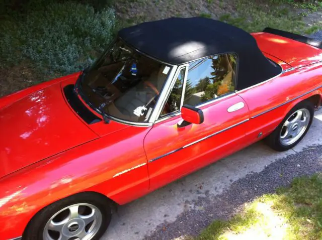 must sell! great car! great price!