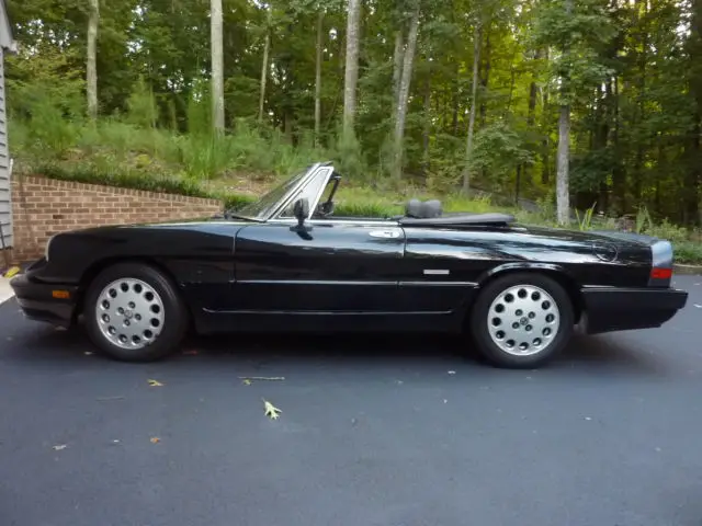 1987 alfa romeo spider quadrofoglio