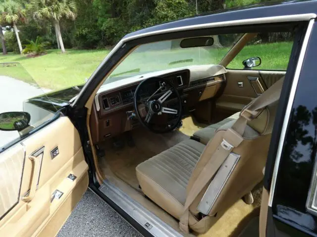 1987 hurst olds 442 tribute