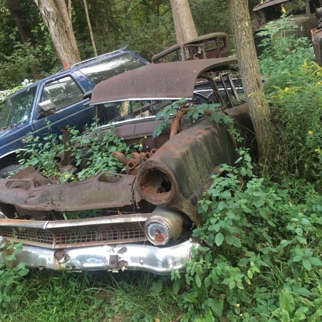 1955 ford crown