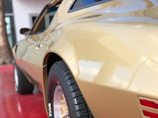 1979 pontiac trans am ws6 no reserve