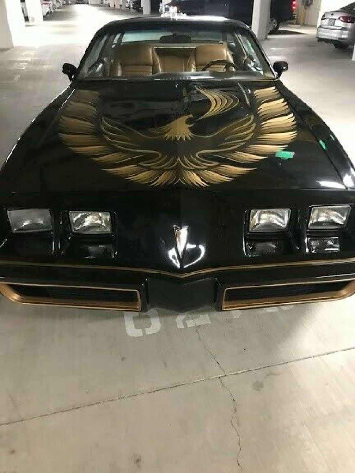 1981 trans-am 4.9 turbo w/t-tops black/beige