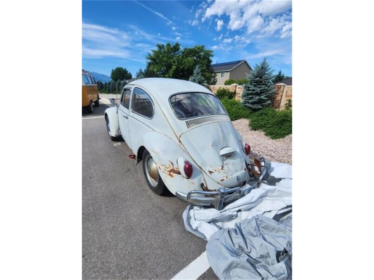1965 volkswagen beetle