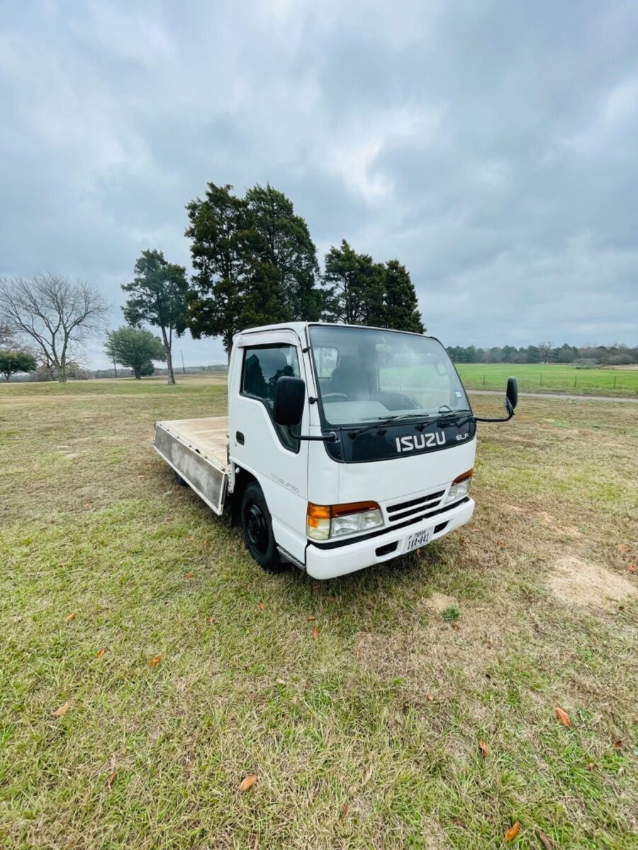 1994 isuzu elf