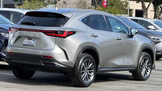 2024 Lexus NX