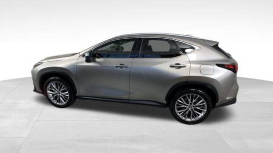 2025 Lexus NX