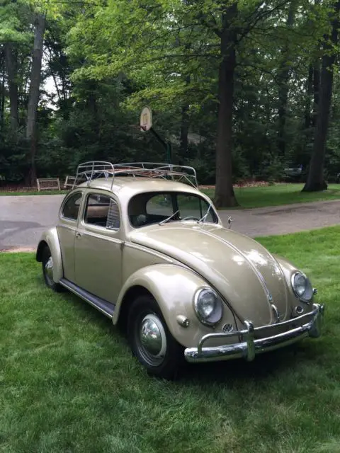1957 vw bug oval window betel