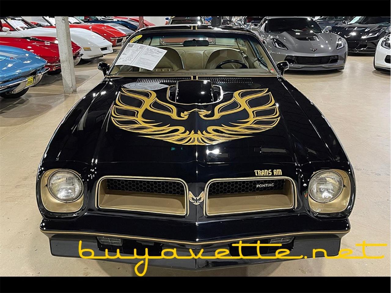 1976 pontiac firebird