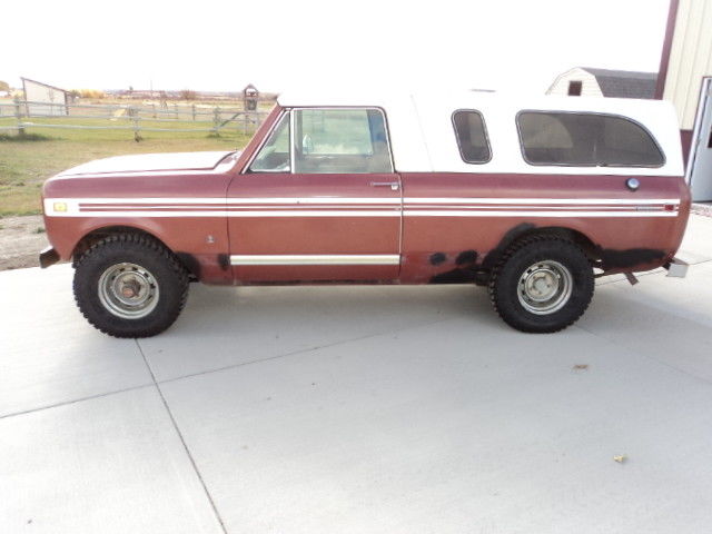 1979 international scout terra pickup
