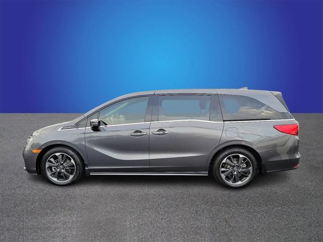 2023 honda odyssey elite