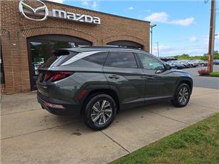 2024 Hyundai Tucson blue