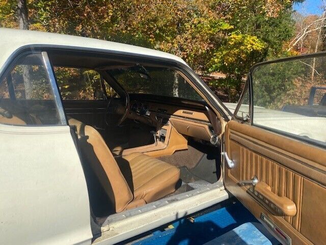 1967 cougar survivor