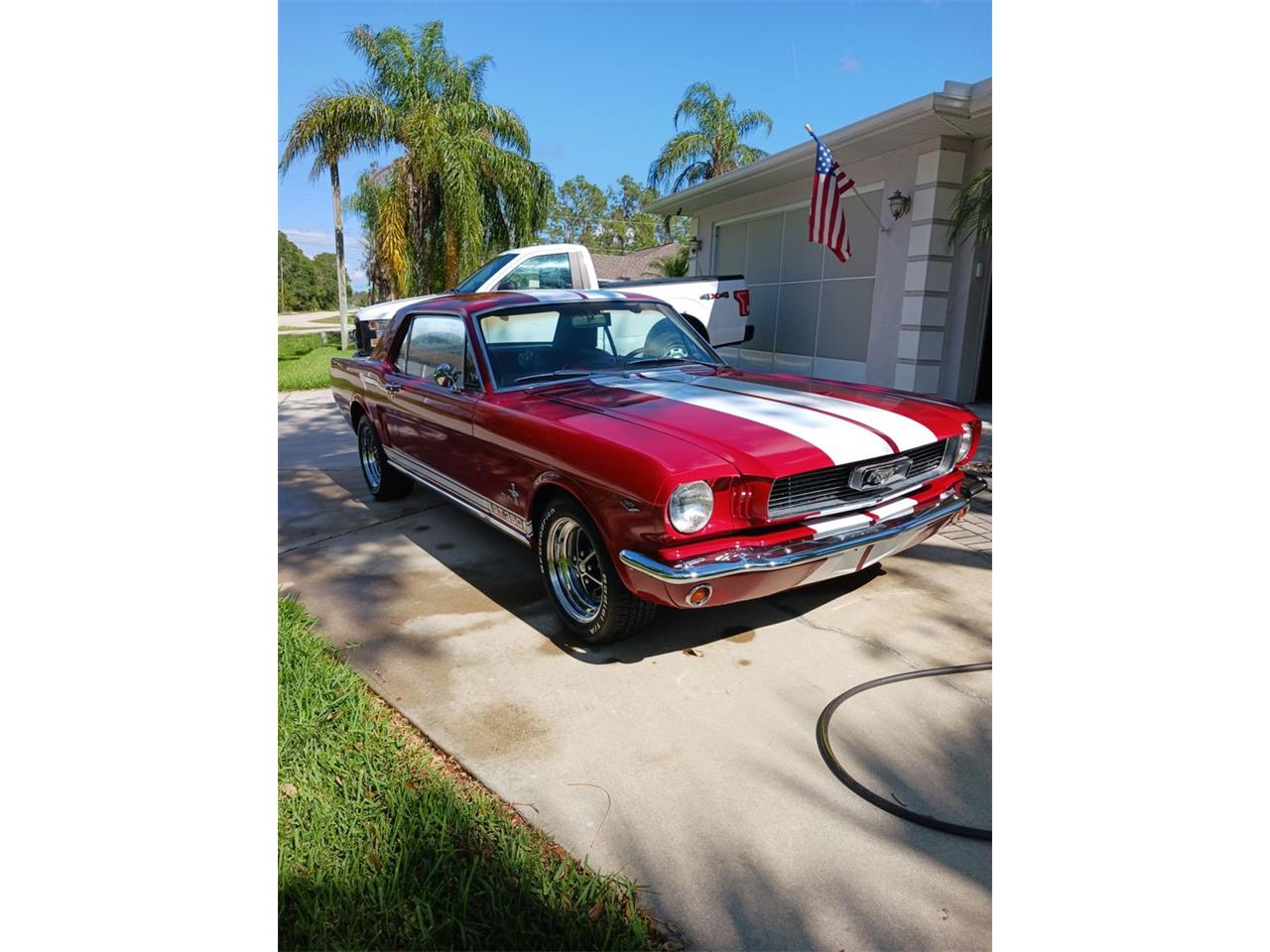 1966 ford mustang gt350