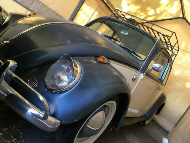 1965 classic vw beetle (bug)