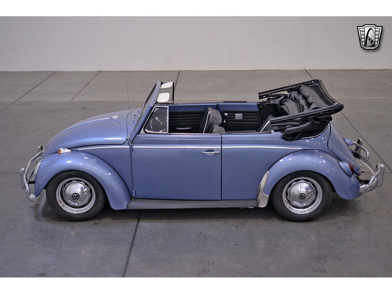 1964 volkswagen beetle