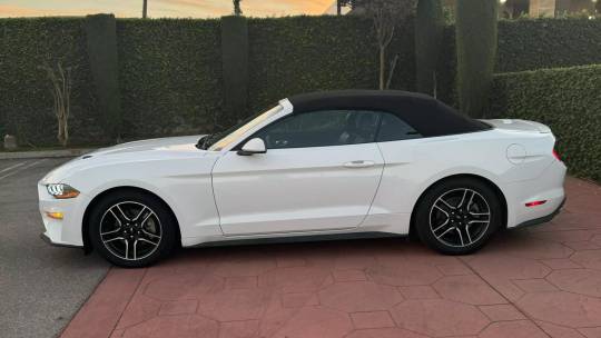 2022 Ford Mustang