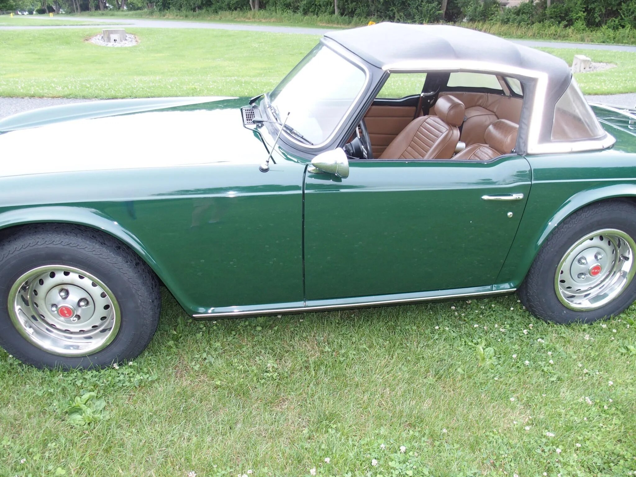triumph tr6