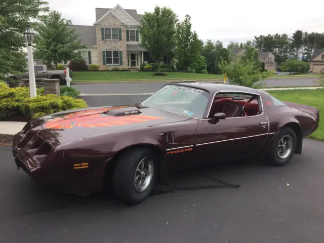 1980 pontiac trans am with t-tops
