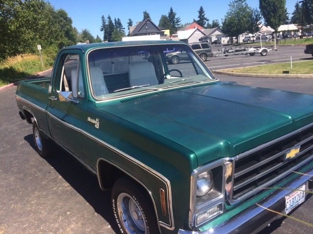 rare original highly optioned 1979 swb c10