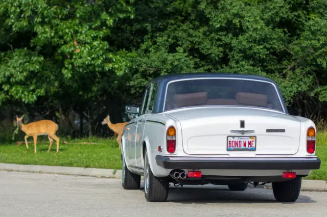 1977 rolls royce silver shadow