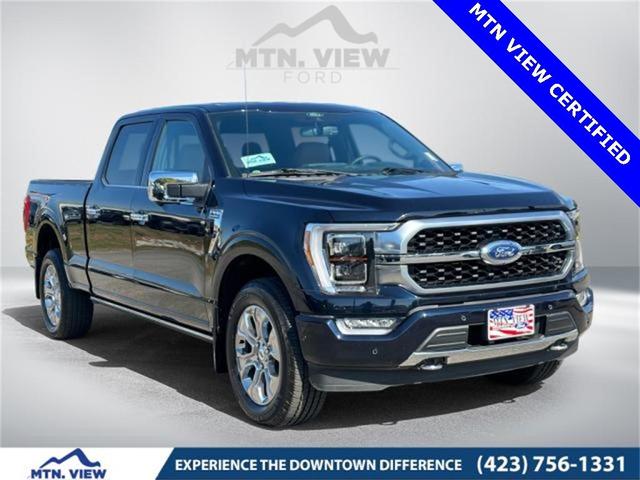 2021 ford f-150 platinum