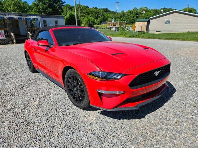 2019 ford mustang ecoboost