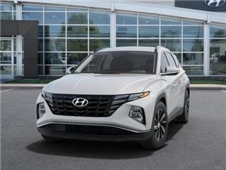 2024 Hyundai Tucson blue