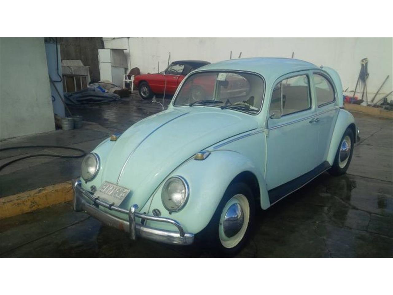 1966 volkswagen beetle