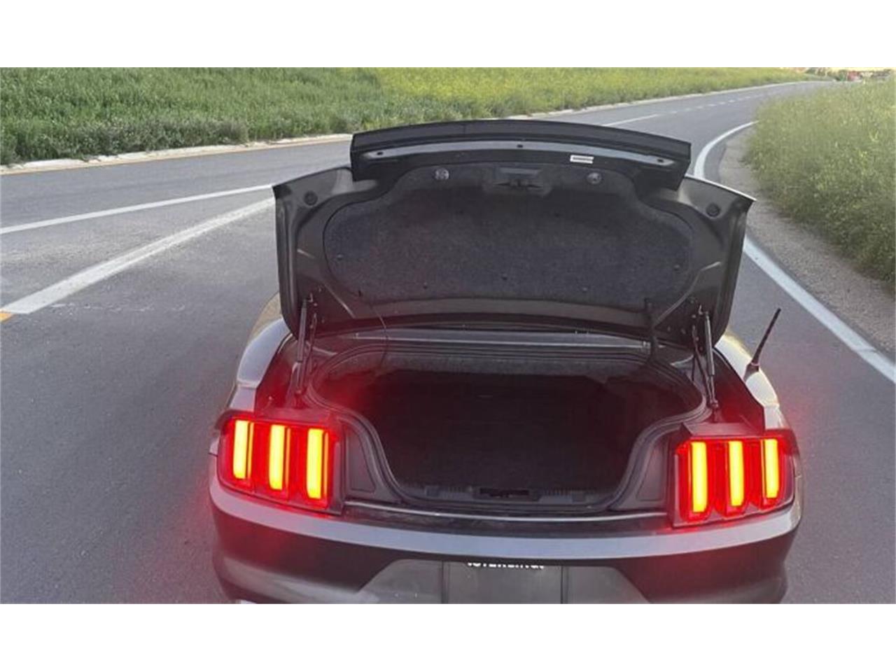 2015 ford mustang